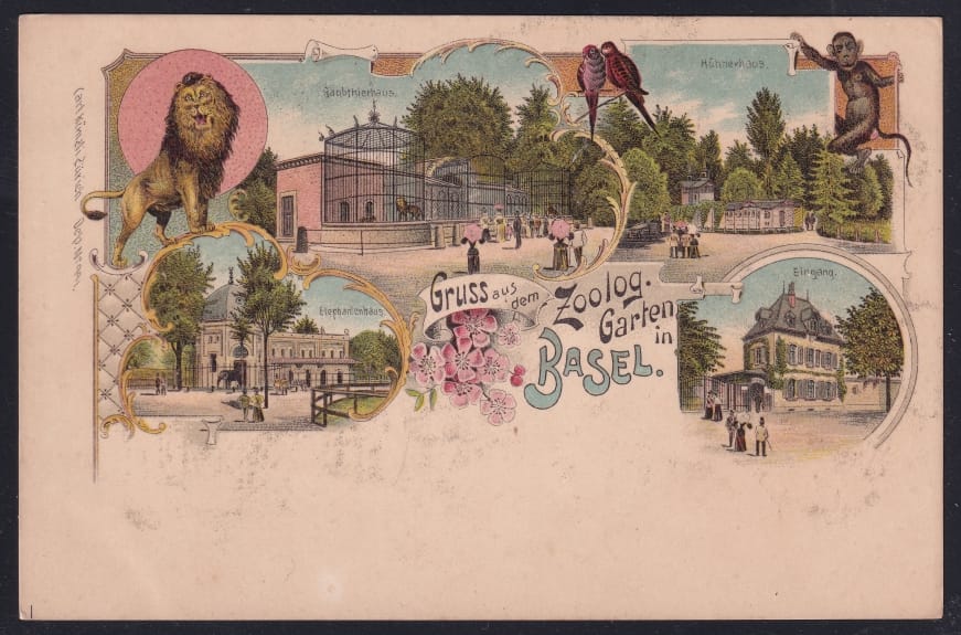 Schweiz Lithographie Gruss aus dem Zoolog. Garten BASEL