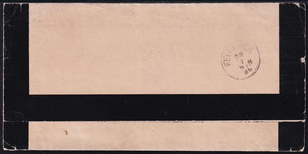 Liechtenstein, Freimarken, Vorläufer, Mi. Nr. 45 auf Trauer-Brief mit Ankunftsstempel – Bild 2