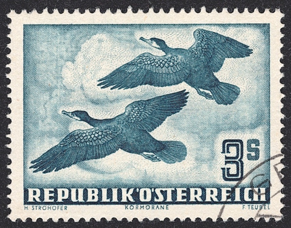 Österreich, Nr.985, 3S., Flugpost, Kormoran, Eckstempel