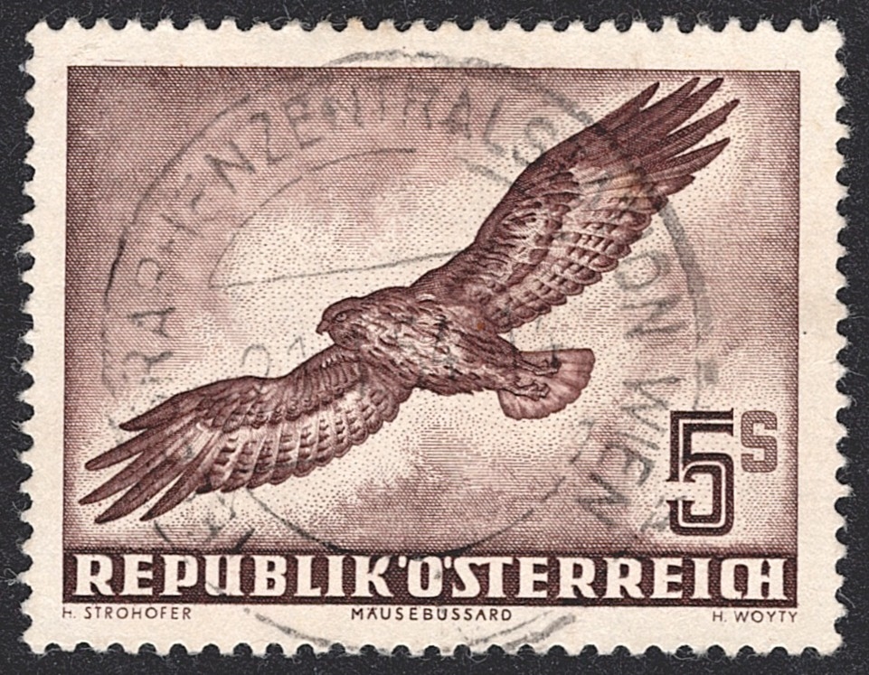 Österreich, Nr.986, 5S.,Flugpost, Mäusebussard, Vollstempel TELEGRAPHENZENTRALSTATION