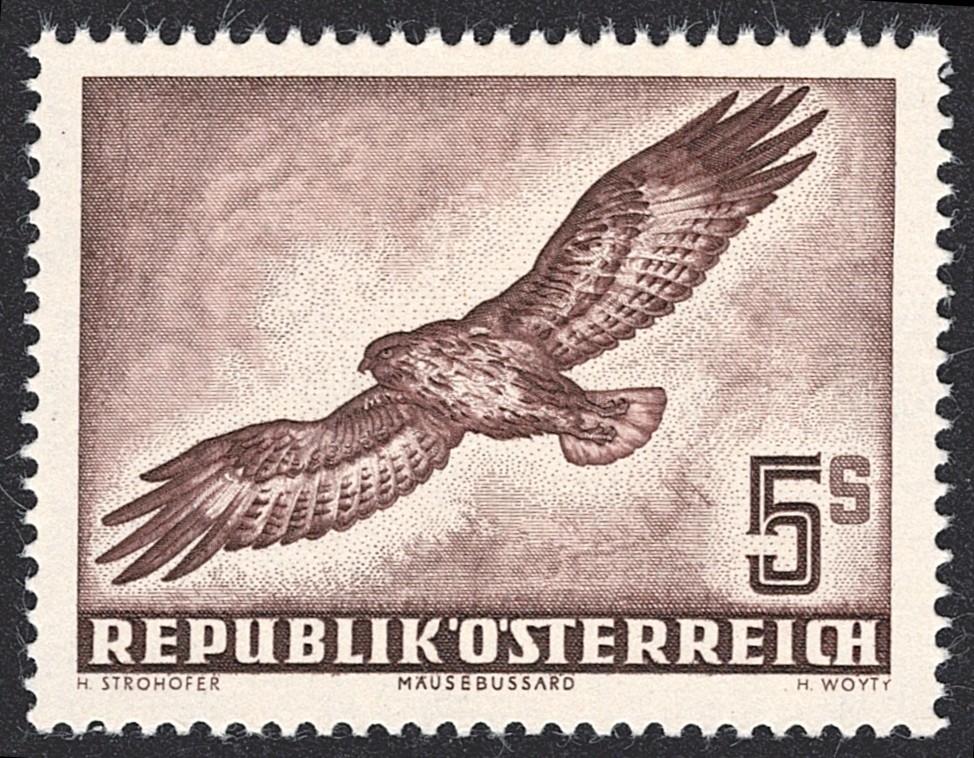 Österreich, Nr.986, 5S.,Flugpost, Mäusebussard