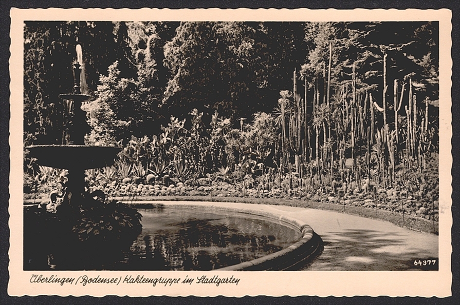 Deutschland, BRD 1951 Nr. 139/40 und 141/42 auf Ansichtskarte "Überlingen" – Bild 2