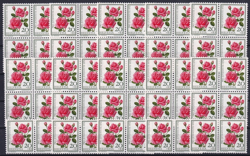Schweiz 1972 SBK Nr. J241 - 50 x CHF 0.20 Rosen "Miracle" postfrisch zum Frankieren