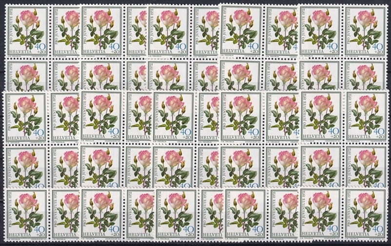 Schweiz 1972 SBK Nr. J243 - 50 x CHF 0.40 Rosen "Madame Dimitriu" postfrisch zum Frankieren