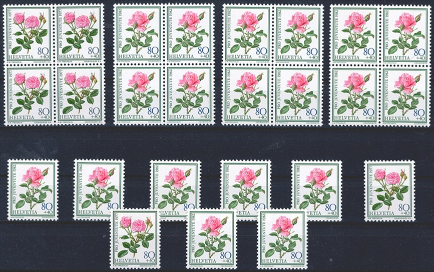 Schweiz PJ 25 x CHF 0.80er "Madame Caroline Testout" zum Frankieren