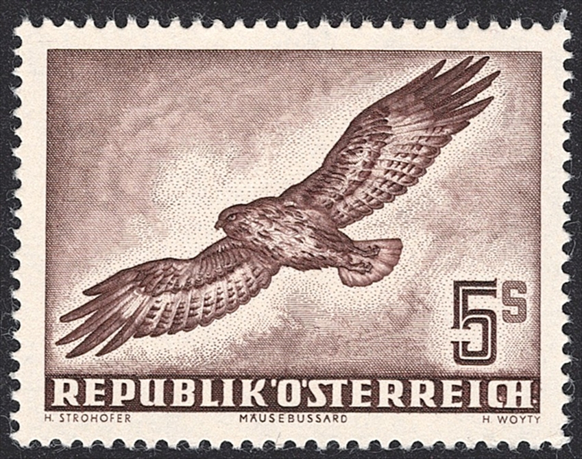 Österreich, Flugpost, Vögel 1953, Nr.986, 5S.Mäusebussard