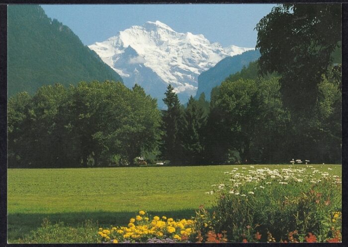 Ansichtskarten Schweiz 2011, Interlaken, Blick auf die Jungfrau